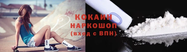 сатива Надым