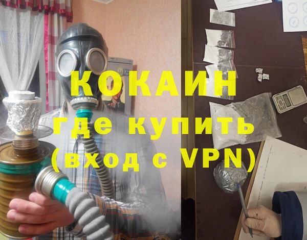 сатива Надым