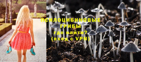 соль курить ск Михайлов