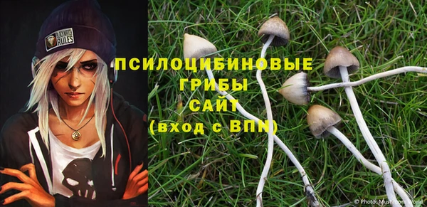 соль курить ск Михайлов
